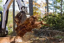 Tenders Tree felling Landscaping construction Johannesbug South Africa