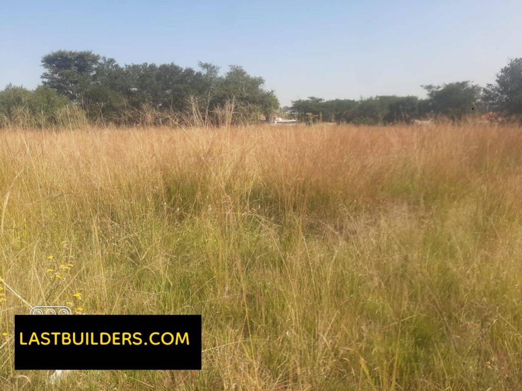 Bush clearance services in Johannesburg