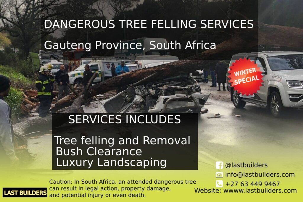 Dangerous Tree Felling Services Gauteng, South Africa