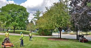 Once Off Premium Estate Clean Up In Johannesburg South Africa