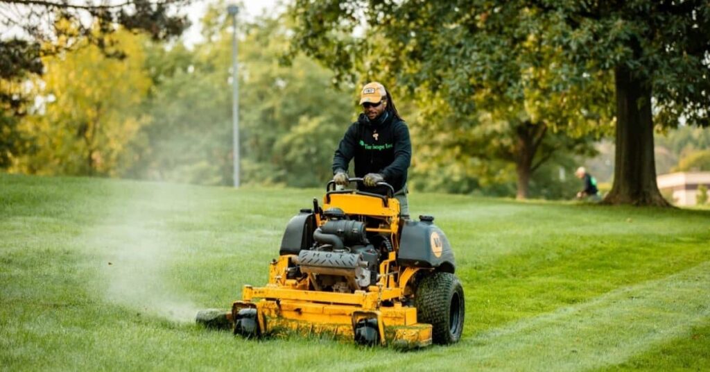 Rich Suburb Landscape Maintenance In Johannesburg South Africa