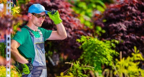 Why Choose Lastbuilders for Reliable Landscaping Services?