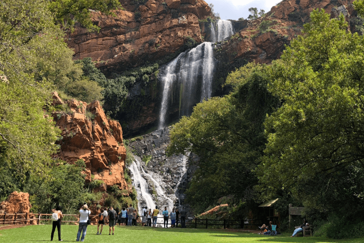 🌱 Get a Quote Garden Maintenance Services for Big Projects Johannesburg