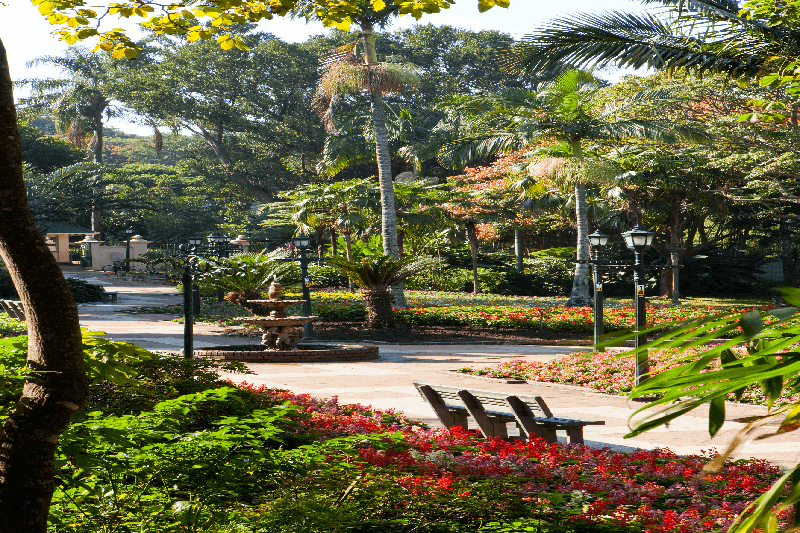 🌿 Garden Maintenance Services For Municipalities, Johannesburg, South Africa