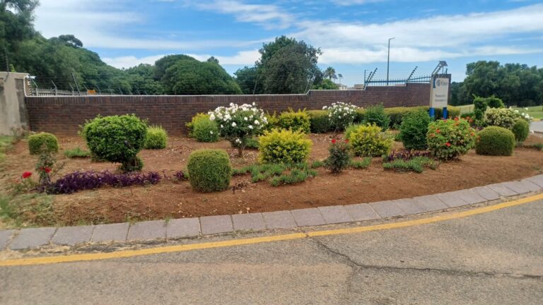 Landscaping Experts South Africa Before