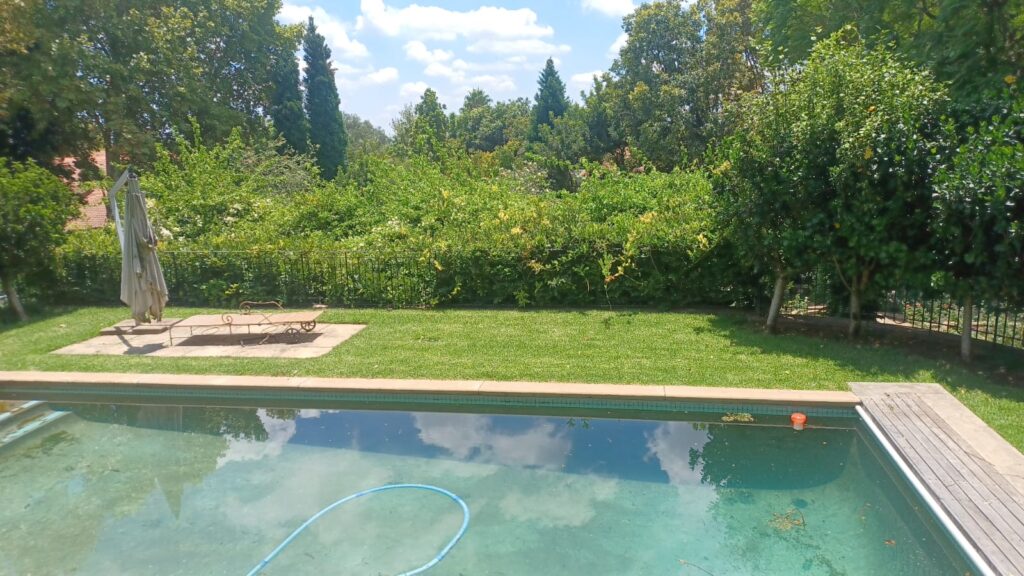Pool And Garden Design Johannesburg South Africa
