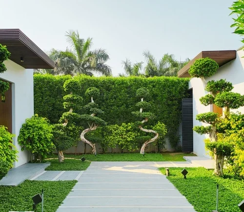 The Best Landscaping Design Near Me Johannesburg Gauteng South Africa