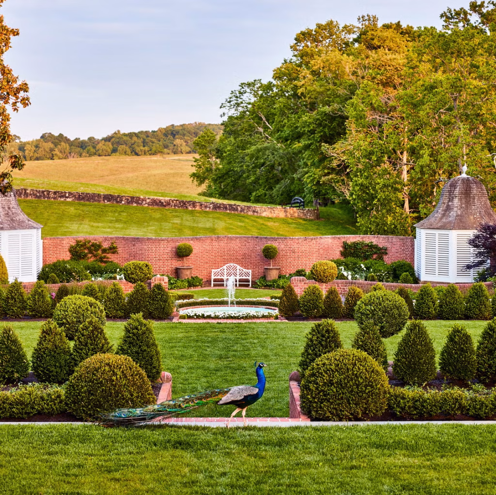 Well Designed Landscaping Experts Johannesburg South Africa