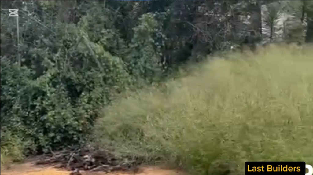 Bush Clearance Services Near Me In Johannesburg