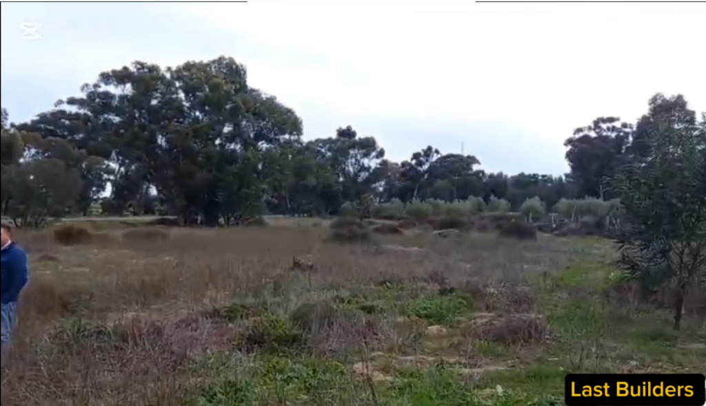 Land Clearing Contractors In Johannesburg And Pretoria