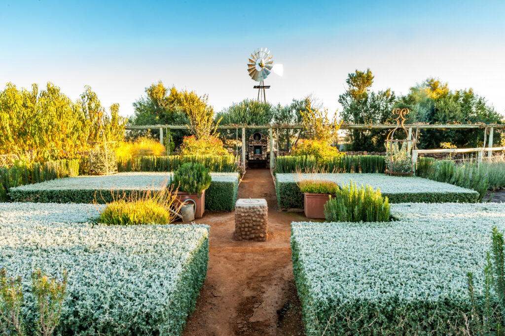 Landscaping Design To Do In Winter Johannesburg South Africa