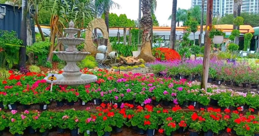 Landscaping Nursery Experts Johannesburg South Africa