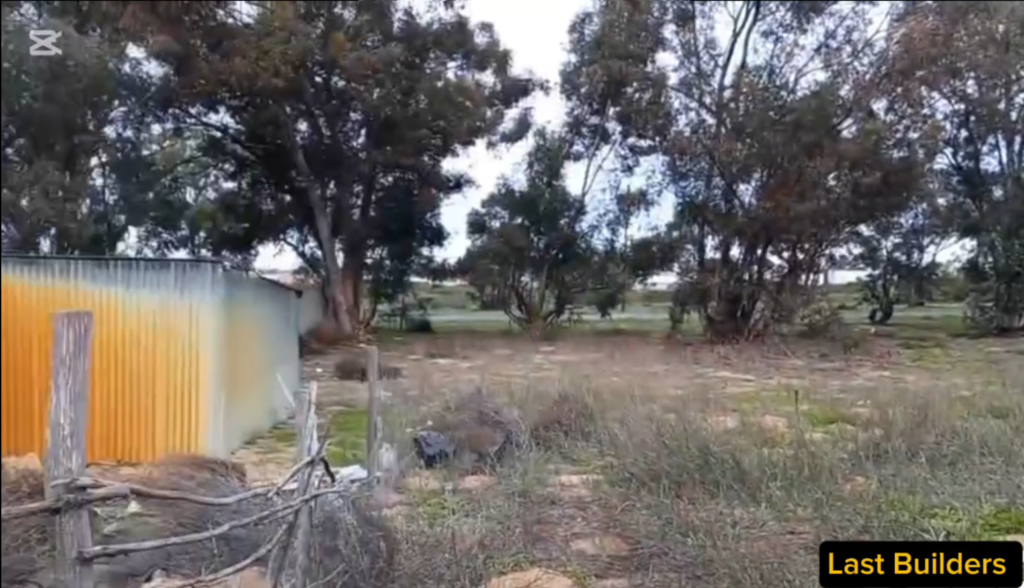 Overgrown Garden Clearing And Debris Removal