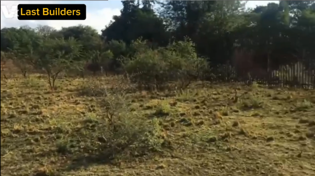 Site Preparation And Land Preparation Services