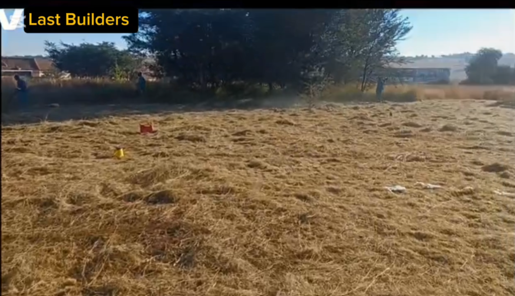 Weed Control And Grubbing Services