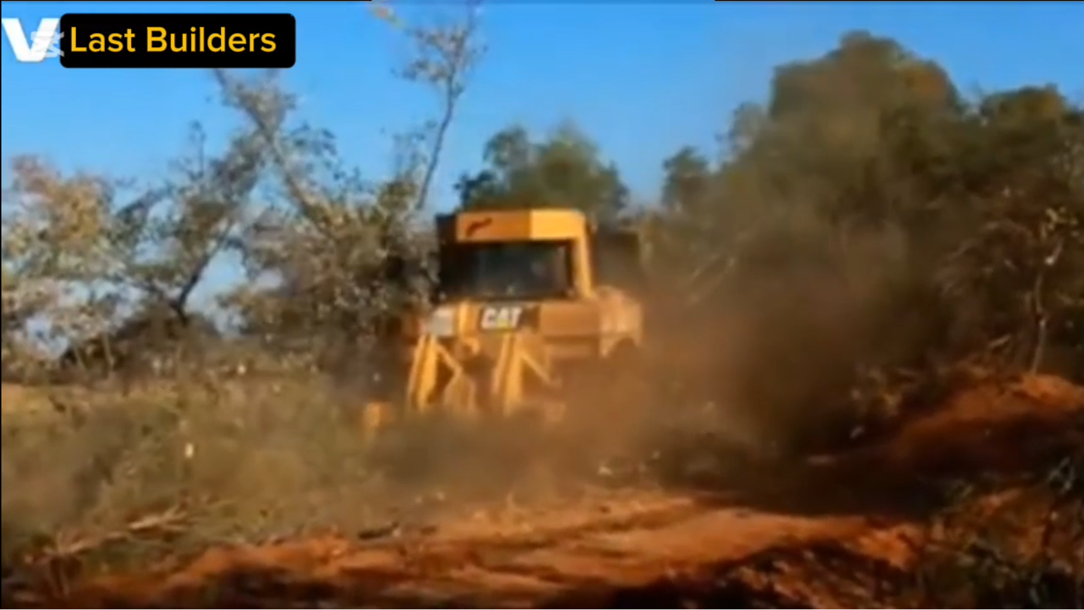Why Bush Clearance Is Important In Gauteng