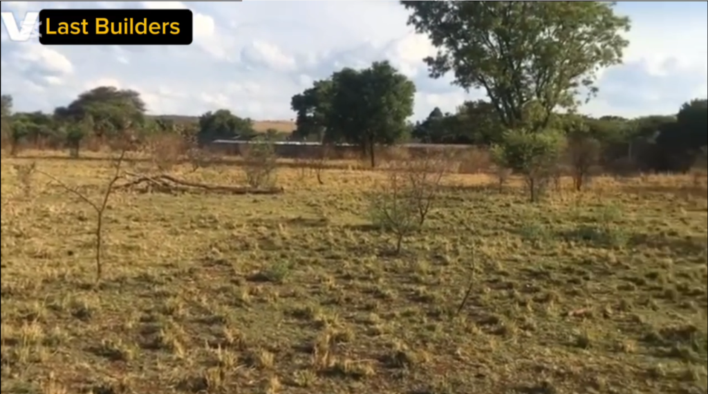 Winter Firebreak Clearing Services In Gauteng