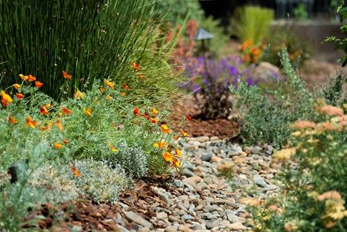 Best Eco-Conscious, Multi-Purpose Landscape Design Johannesburg South Africa