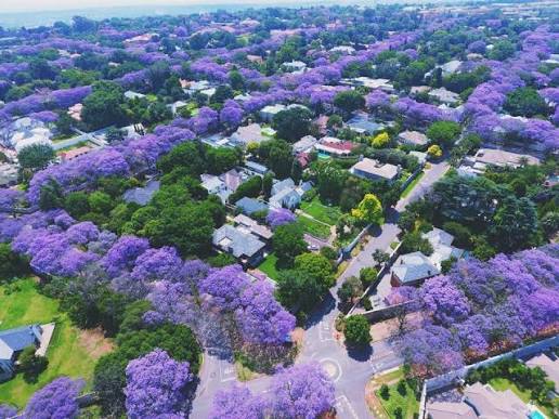 Landscaping Services Johannesburg- Transform Your Garden Clean Your Property And Get Your Home Ready for Spring