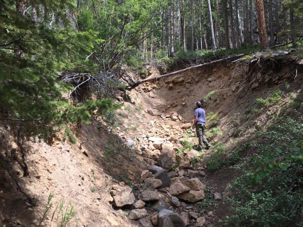 Hazardous Terrain Bush Removal Service Near Johannesburg